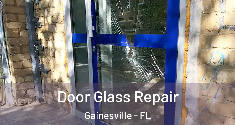  Door Glass Repair Gainesville - FL