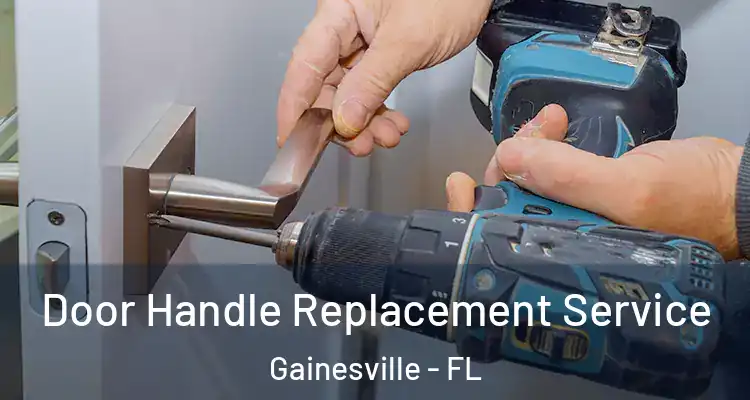  Door Handle Replacement Service Gainesville - FL