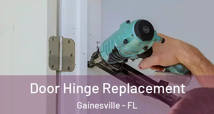  Door Hinge Replacement Gainesville - FL