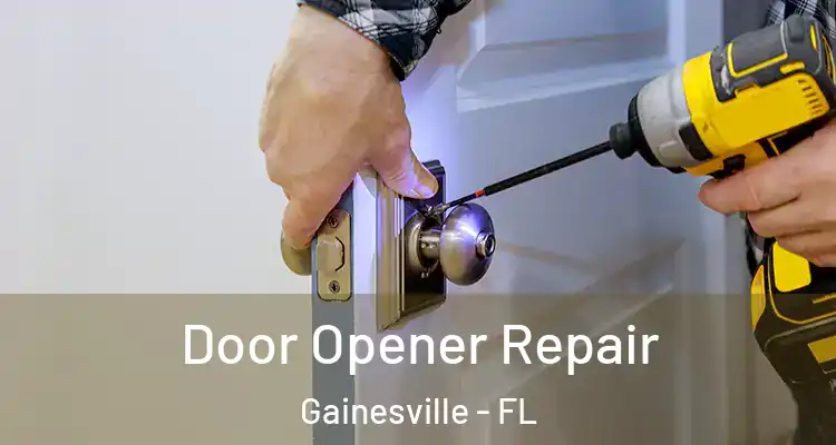 Door Opener Repair Gainesville - FL