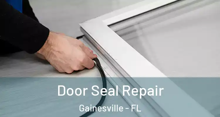  Door Seal Repair Gainesville - FL