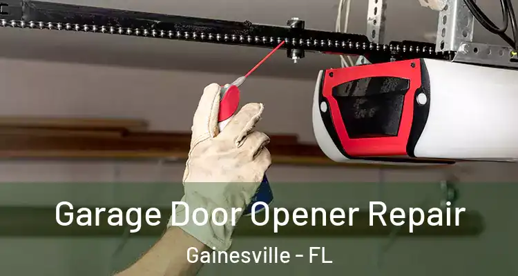  Garage Door Opener Repair Gainesville - FL