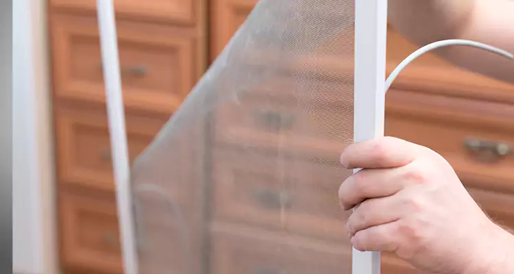 Privacy Mesh Screen Door Installation in Gainesville, FL