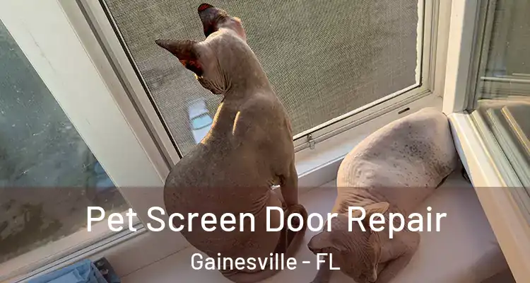  Pet Screen Door Repair Gainesville - FL