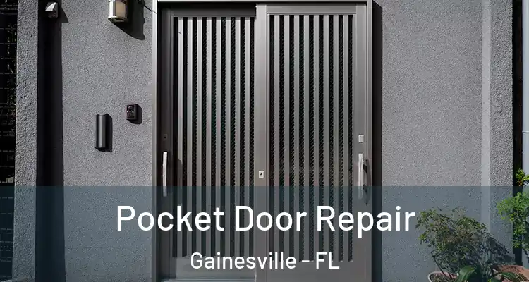  Pocket Door Repair Gainesville - FL