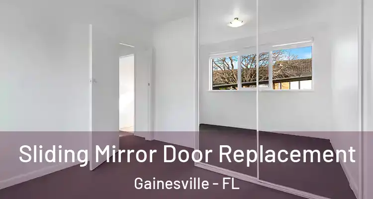  Sliding Mirror Door Replacement Gainesville - FL