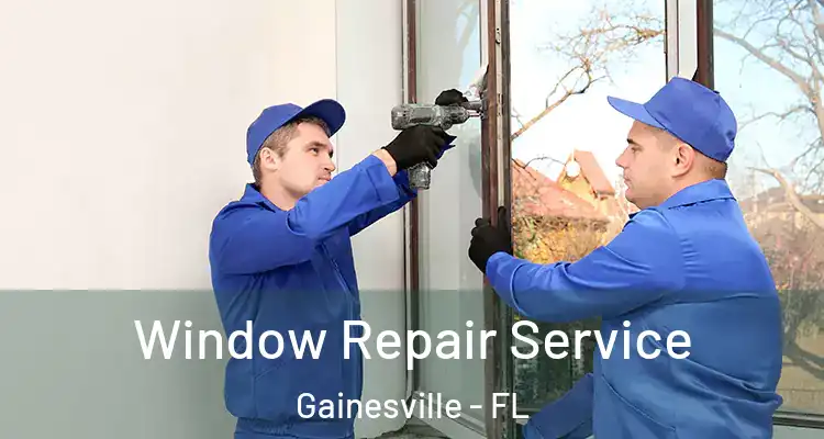 Window Repair Service Gainesville - FL